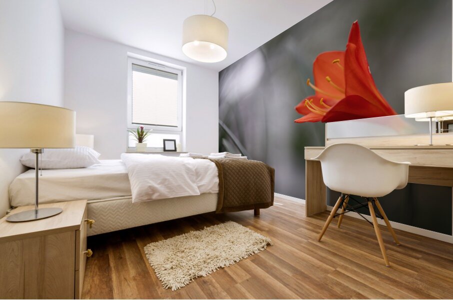 Naked Lady Mural print