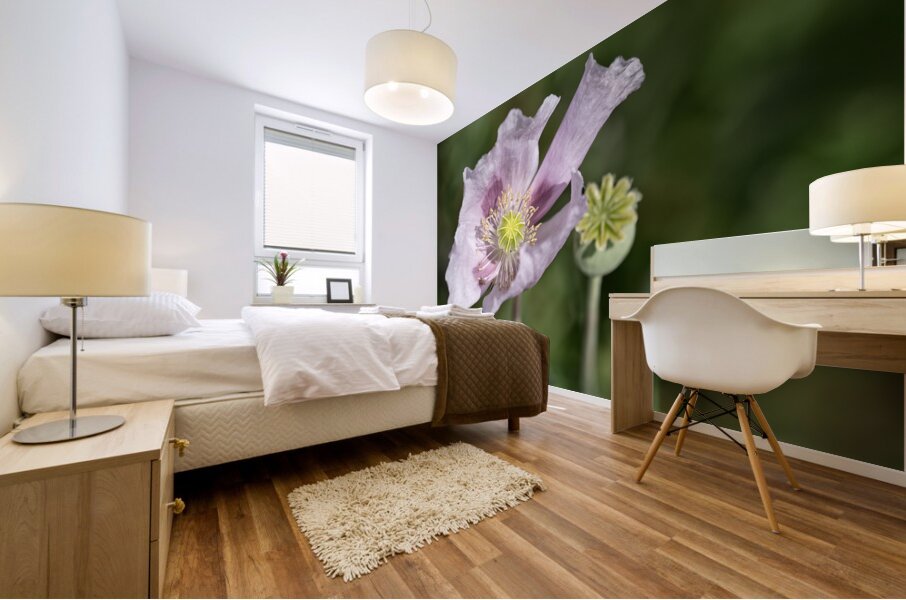 Pink Poppy Mural print