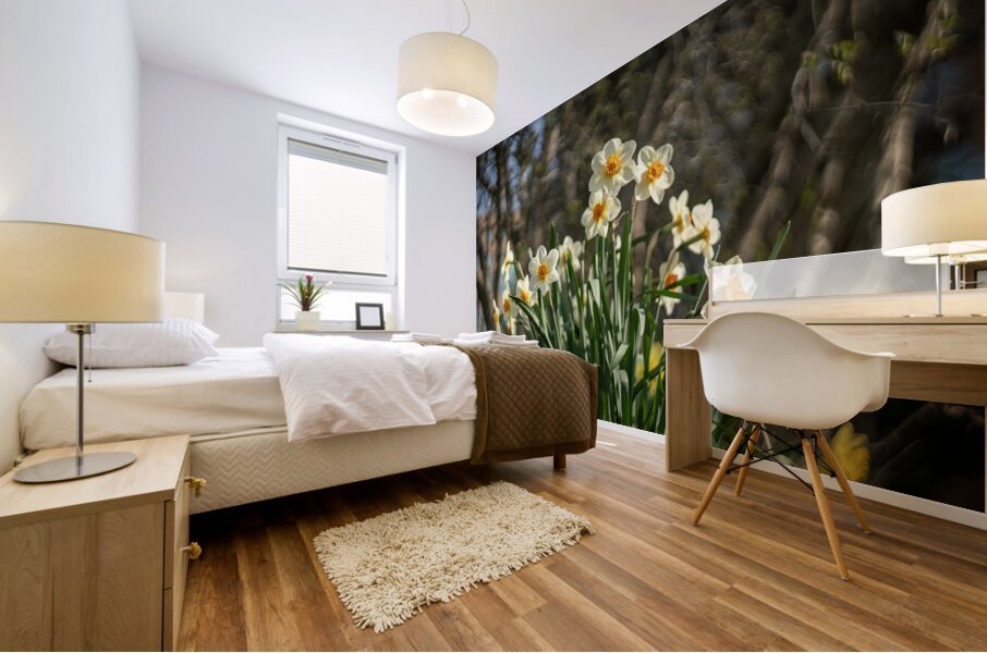 Daffodil Dreams Mural print