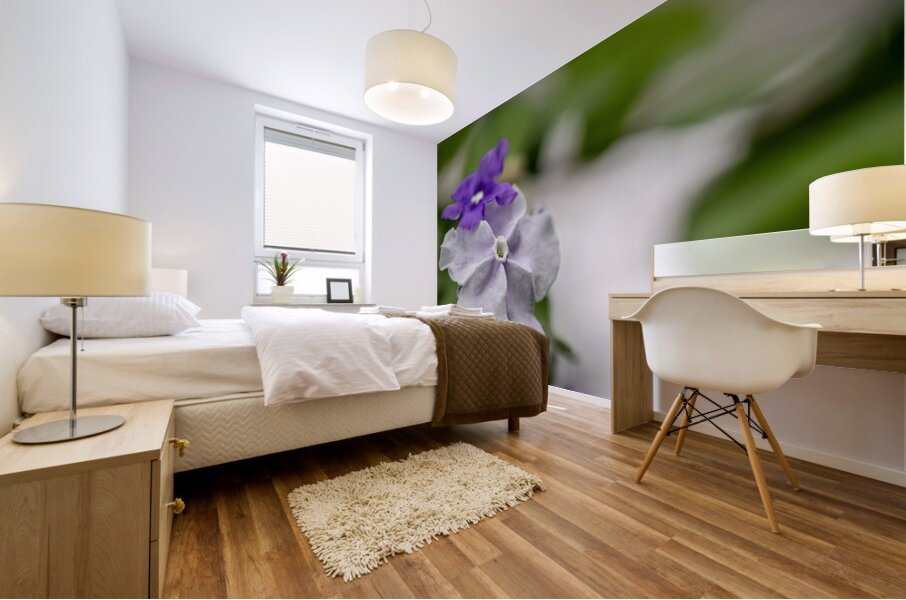 Mauve Melody 1 Mural print