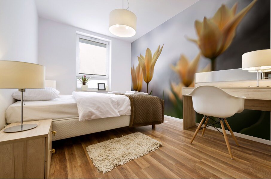 Amber Aurora Mural print