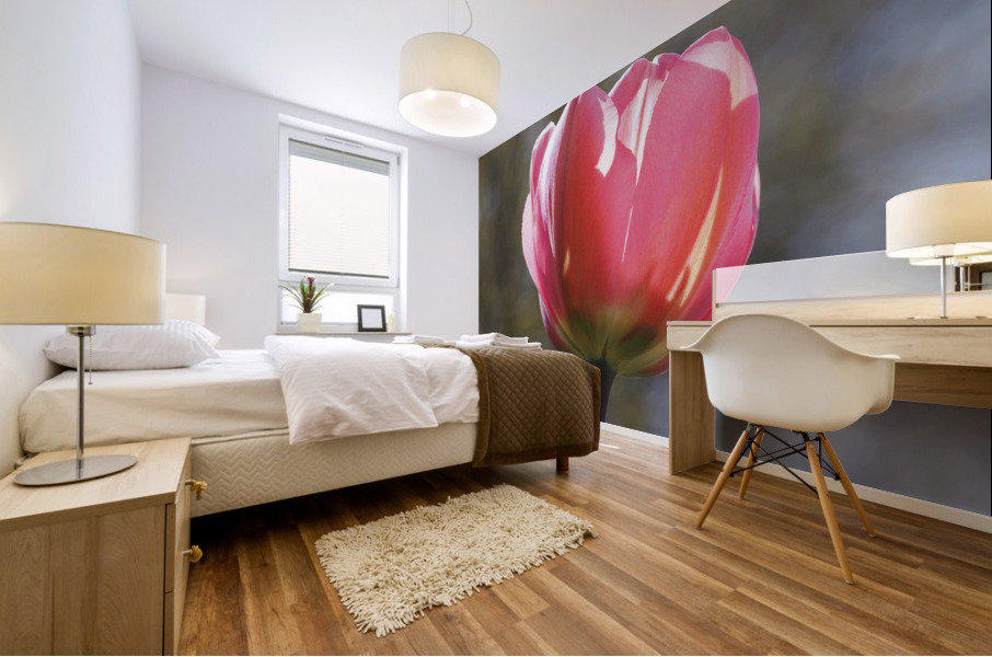 Showy Tulip Mural print