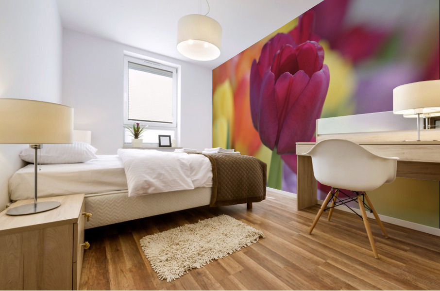 Colorful Mural print