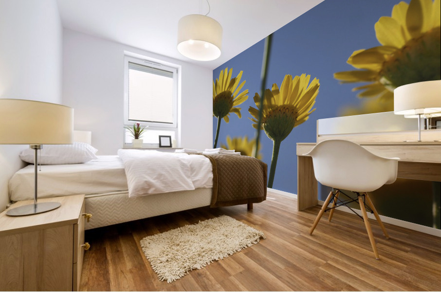 From Below Mural print