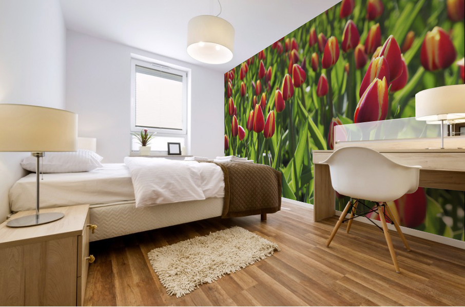 Tulip Background Mural print