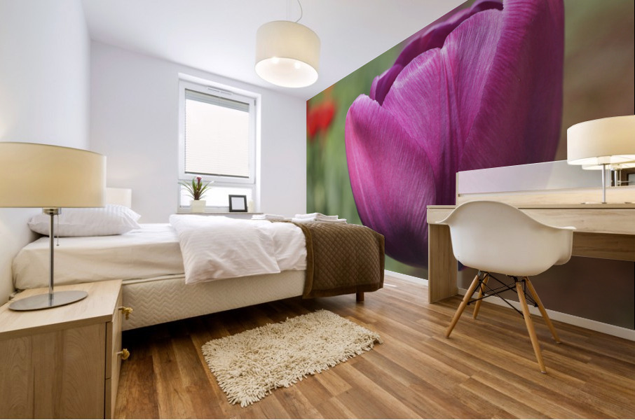 Big Purple Tulip Mural print