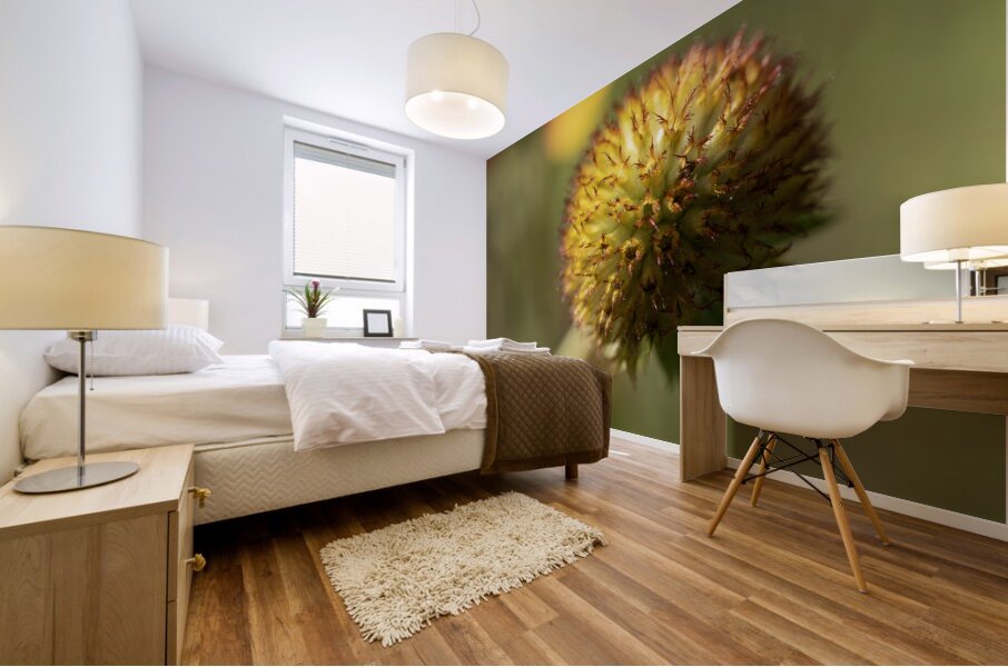 Sundance Seedhead Mural print