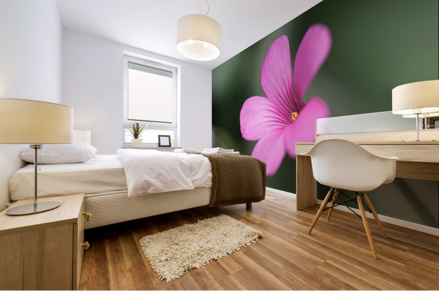 Splash Of Color Mural print