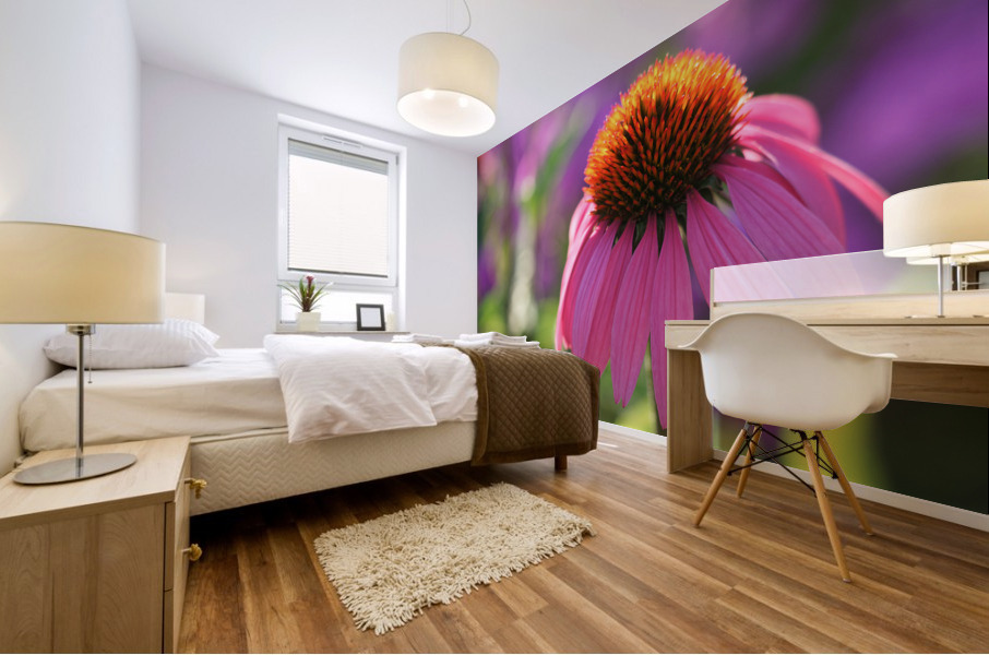 Purple Coneflower Mural print