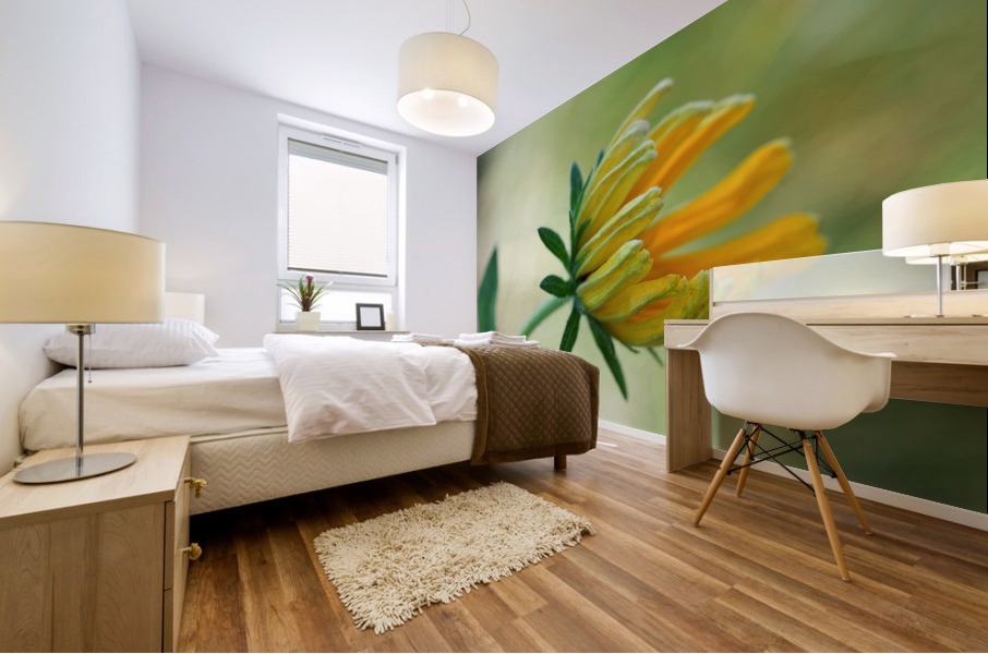 This Way Mural print