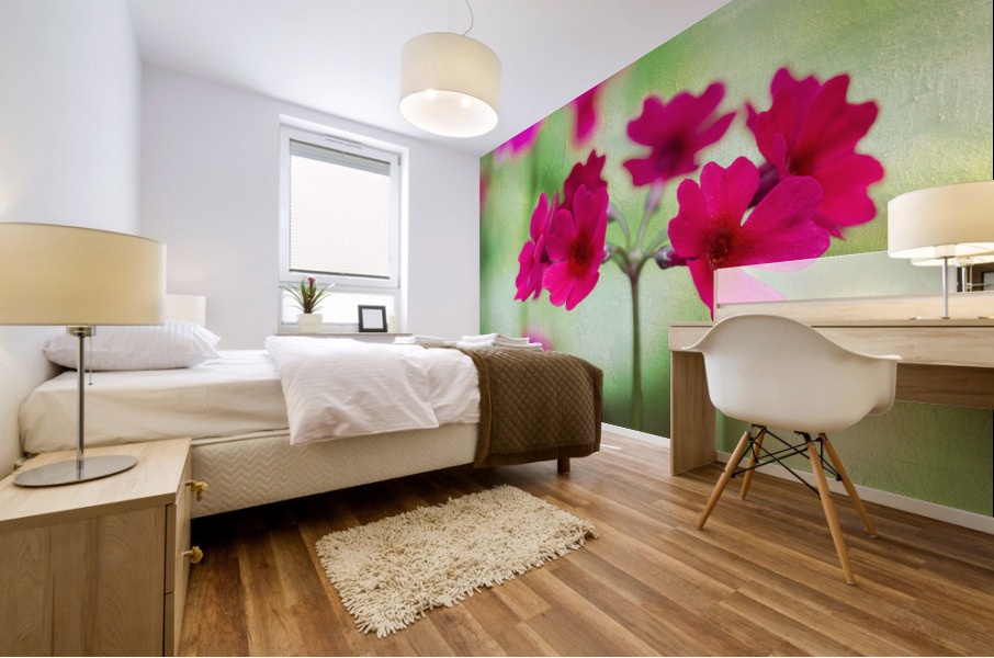 Valley Red Mural print