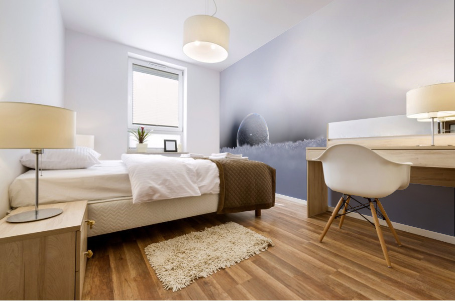 Soap Bubble Mural print