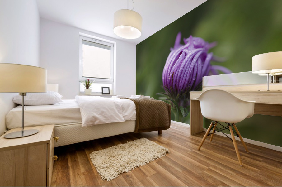 Dew Kissed Flower Bud Mural print