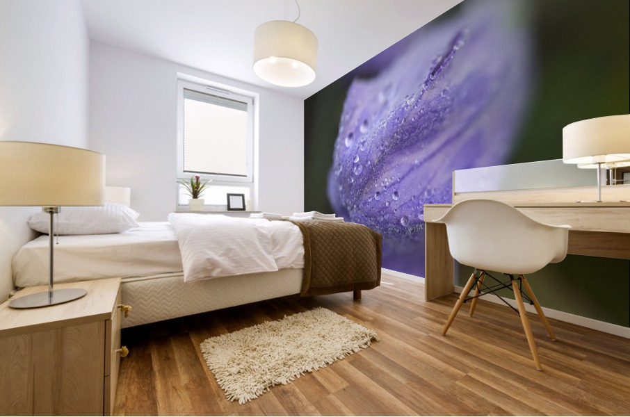 Droplets on a Bellflower Mural print