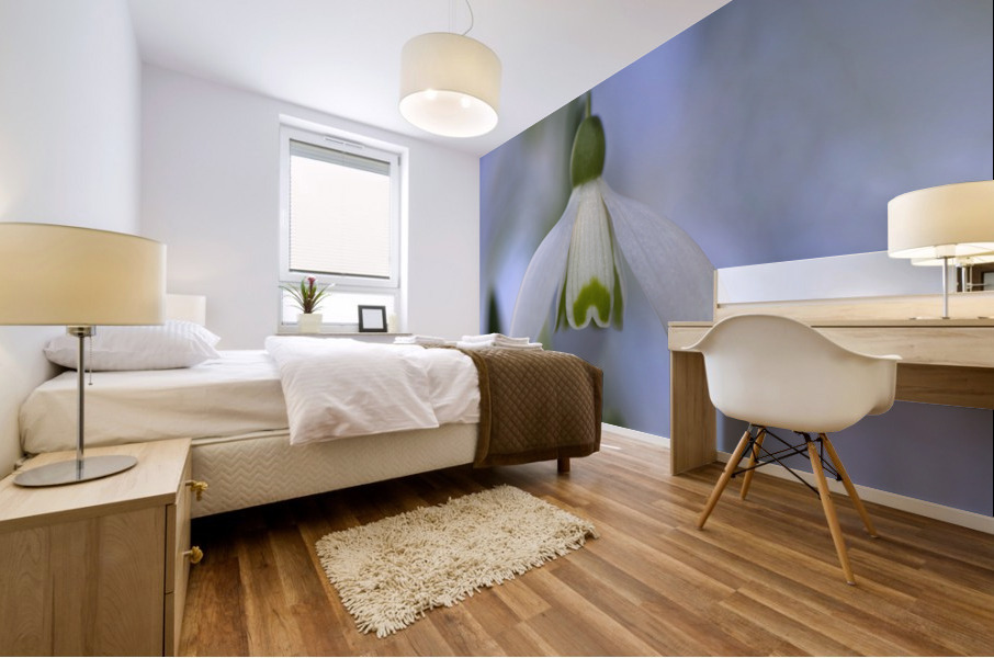 Snowdrop Bulb Mural print