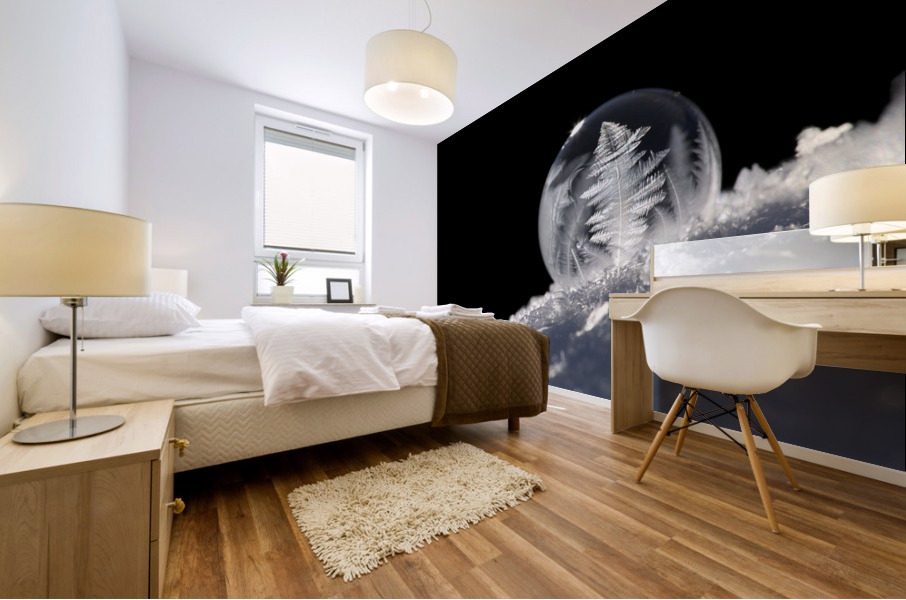 Frozen Soap Bubble Mural print