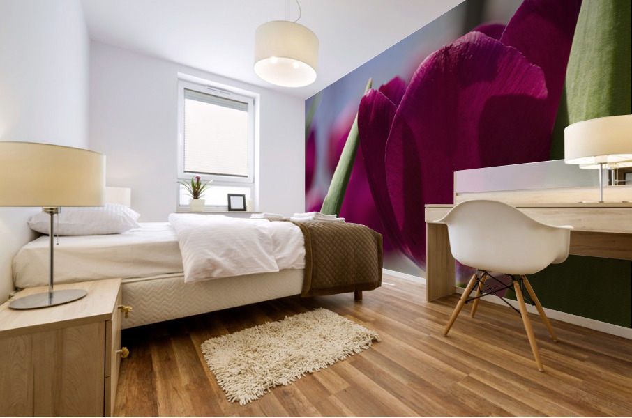 Oh Sunny Day Mural print