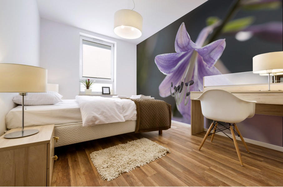 Hosta Closeup Mural print