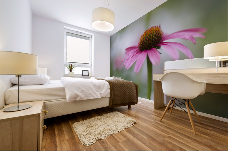 Pink Echinacea Mural print