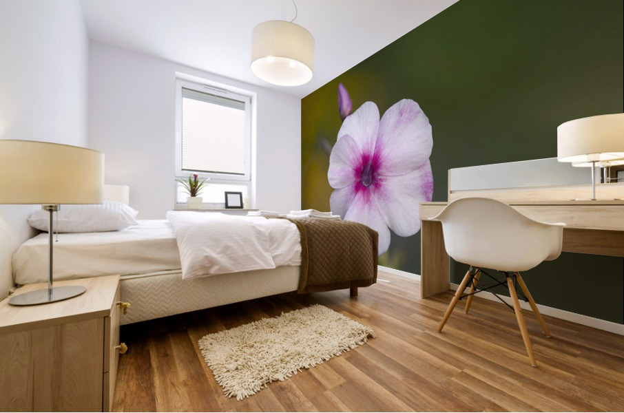 Summer Phlox Mural print
