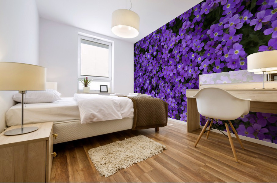 Purple Groundcover Mural print