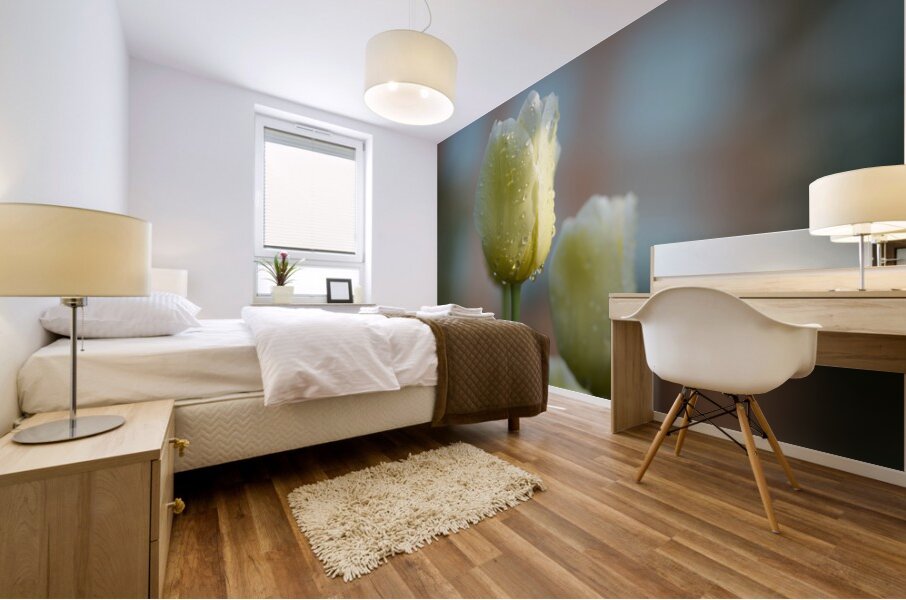 Dreamy Beauties Mural print