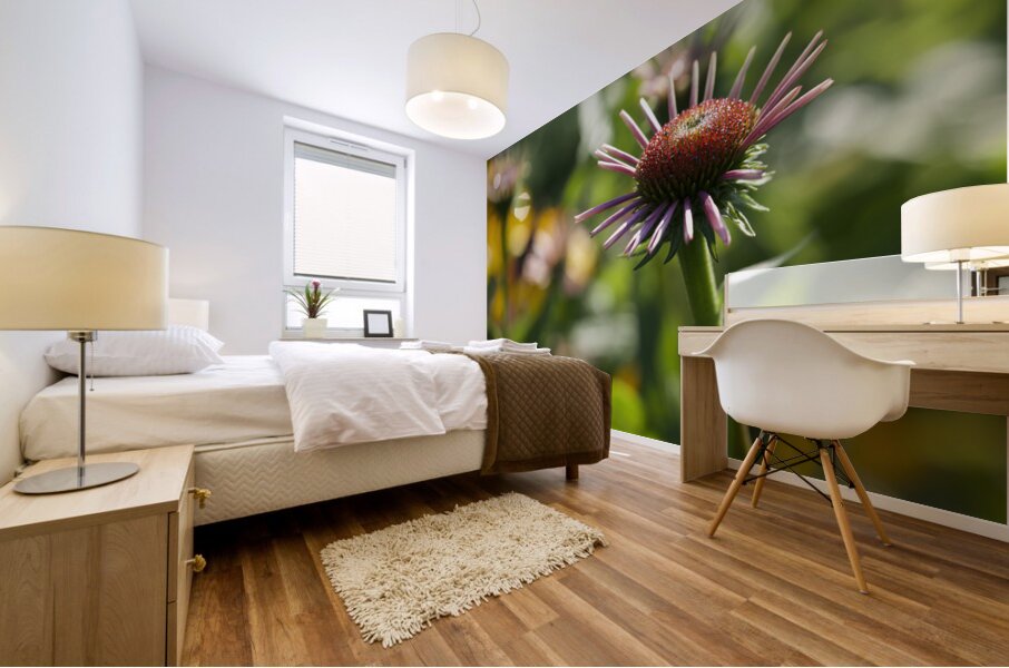 Early Morning Beauty Mural print