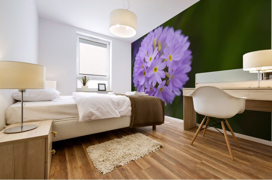 Drumstick Mural print