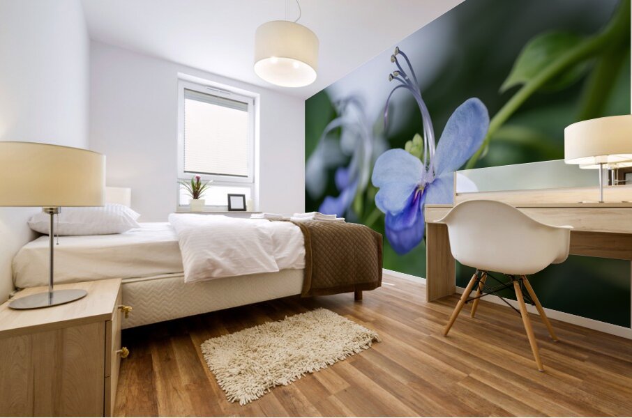 Beetle Killer Mural print