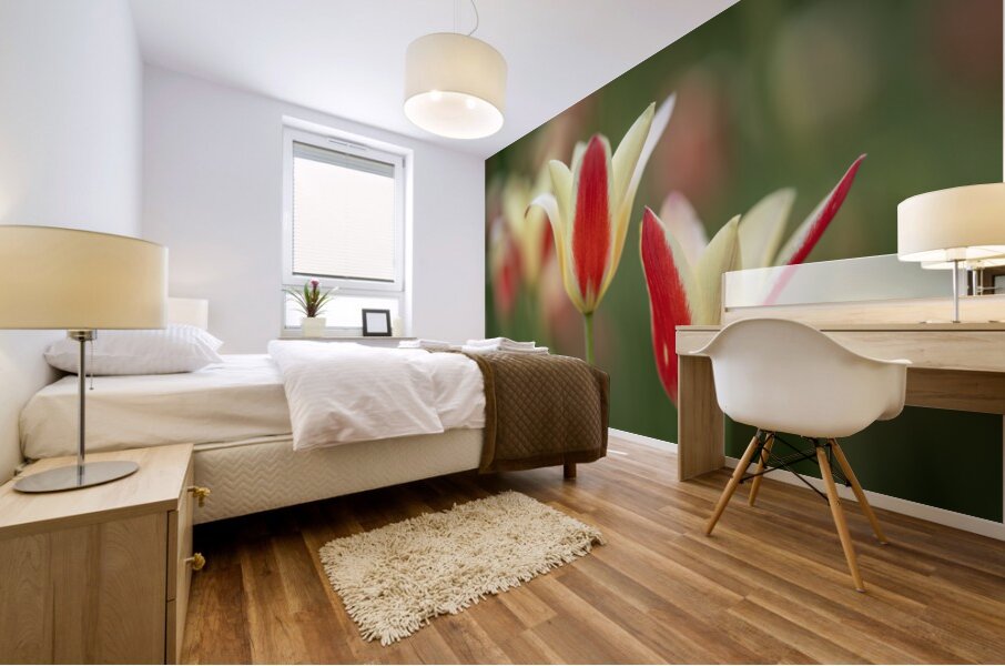 Tranquil Tulips Mural print