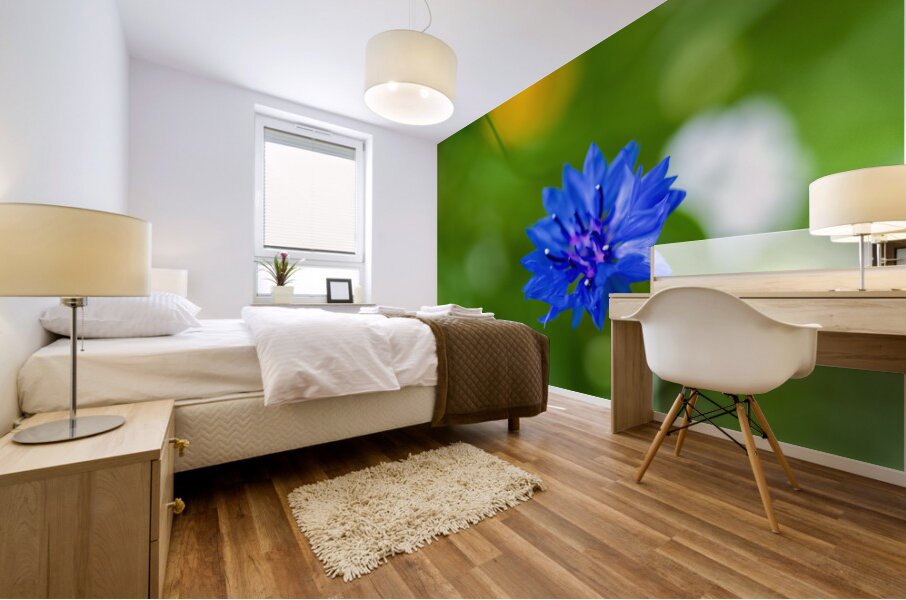 Celestial Elegance Mural print