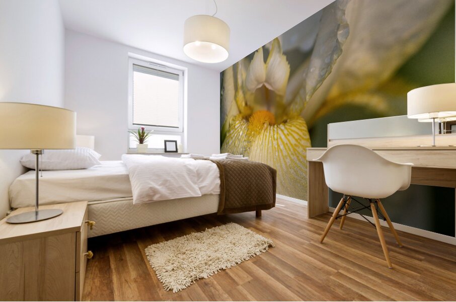 Dreamy Iris Mural print