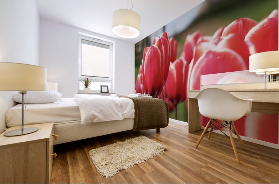 Look at Us Mural print