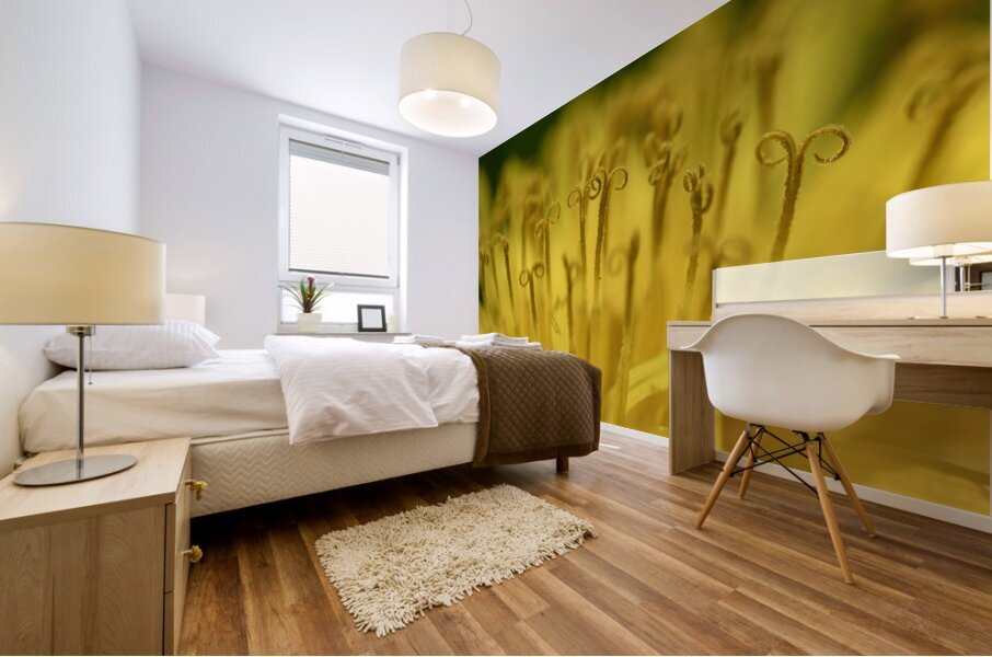 Dandelion Mural print