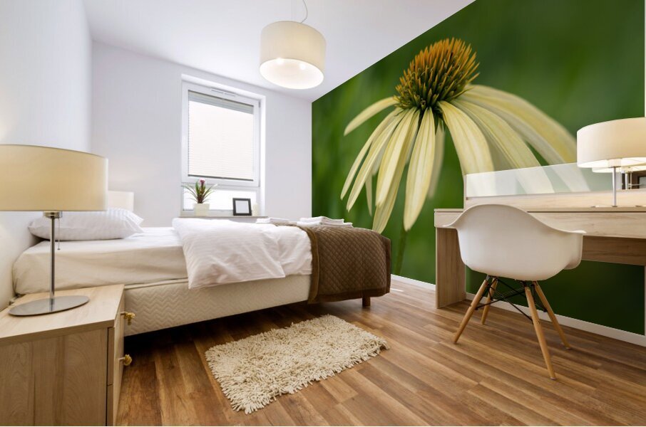Yellow Echinacea Flower Mural print