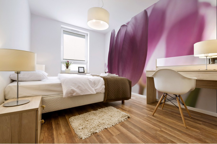 Pink Tulips Mural print