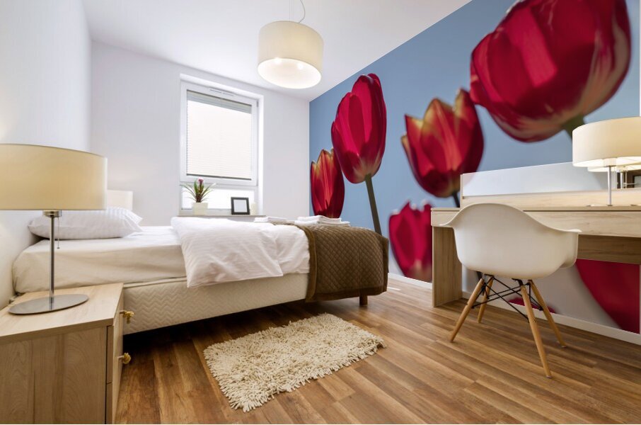 Red Tulips Mural print