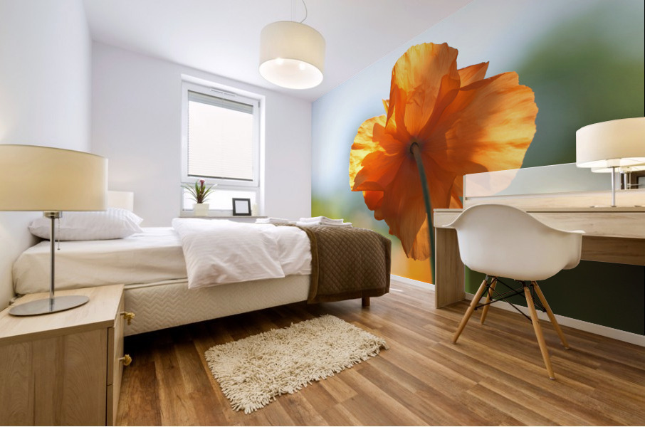 Poppy Burning Mural print