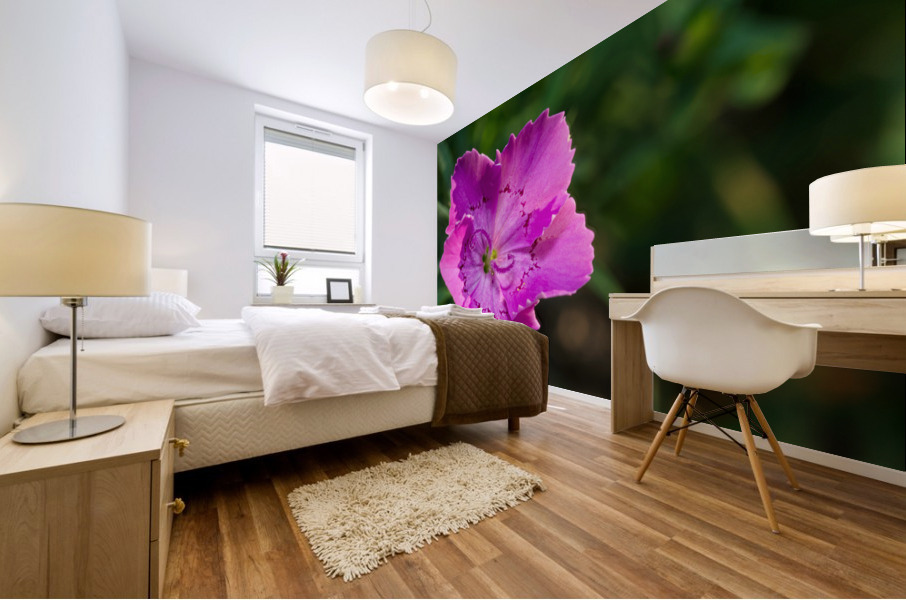 Maiden Pink Mural print