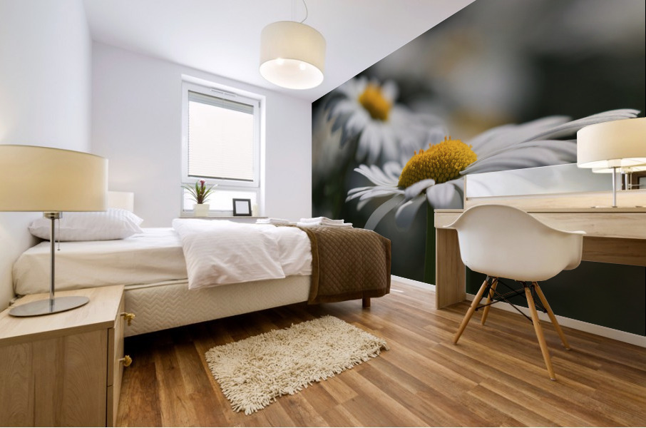 Marguerites Mural print