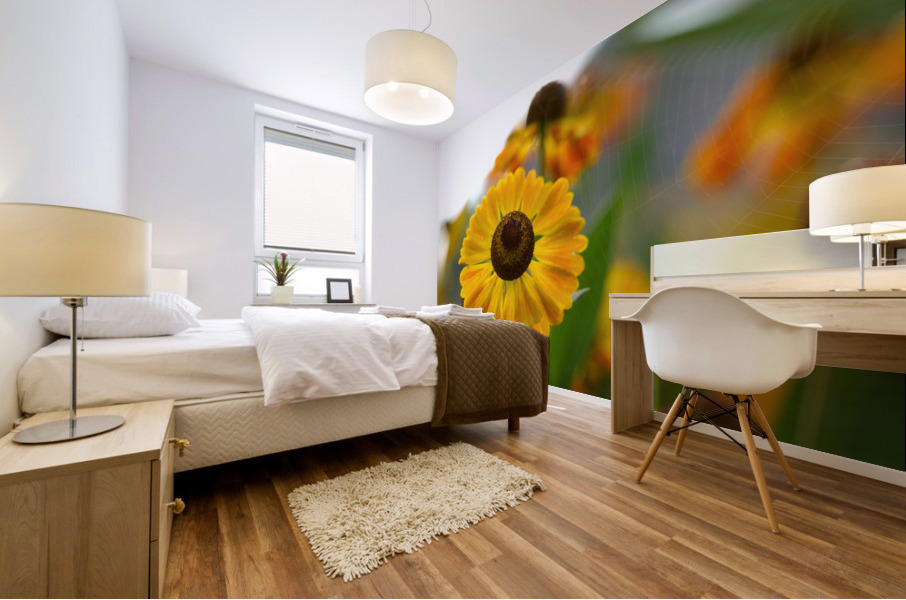 A Beautiful Day Mural print