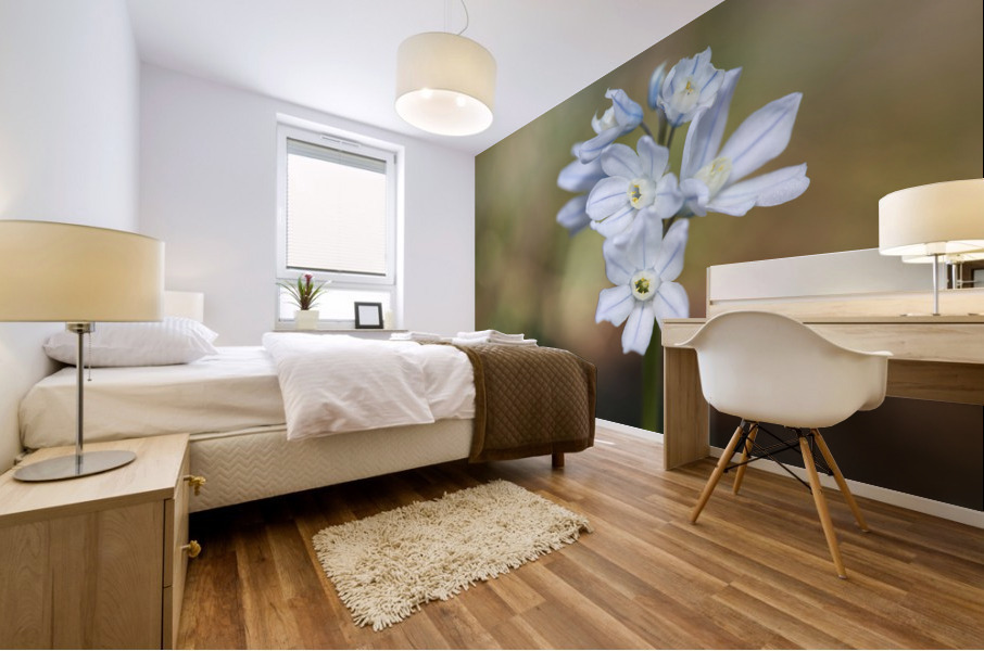 Striped Squill Mural print