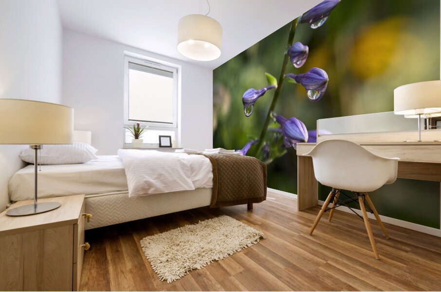 Rain Drops Mural print