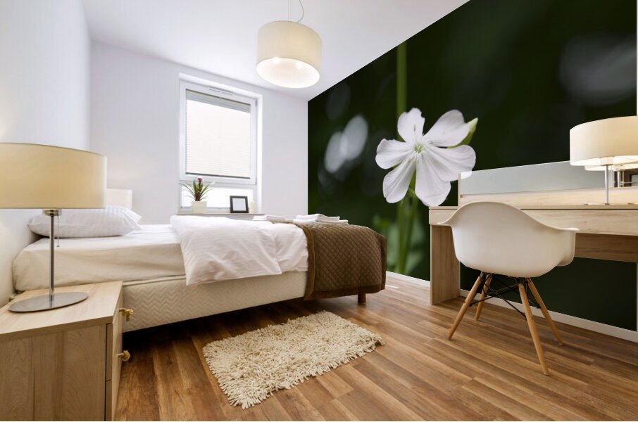 Catchfly Mural print