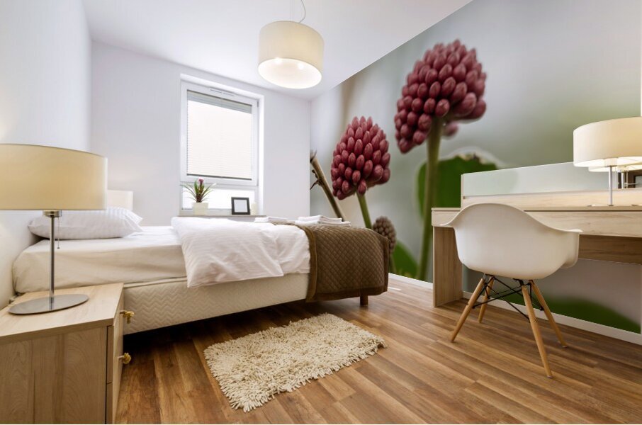 Powder Puff Buds Mural print