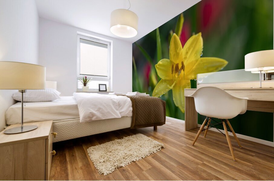 Wet Daylily Mural print