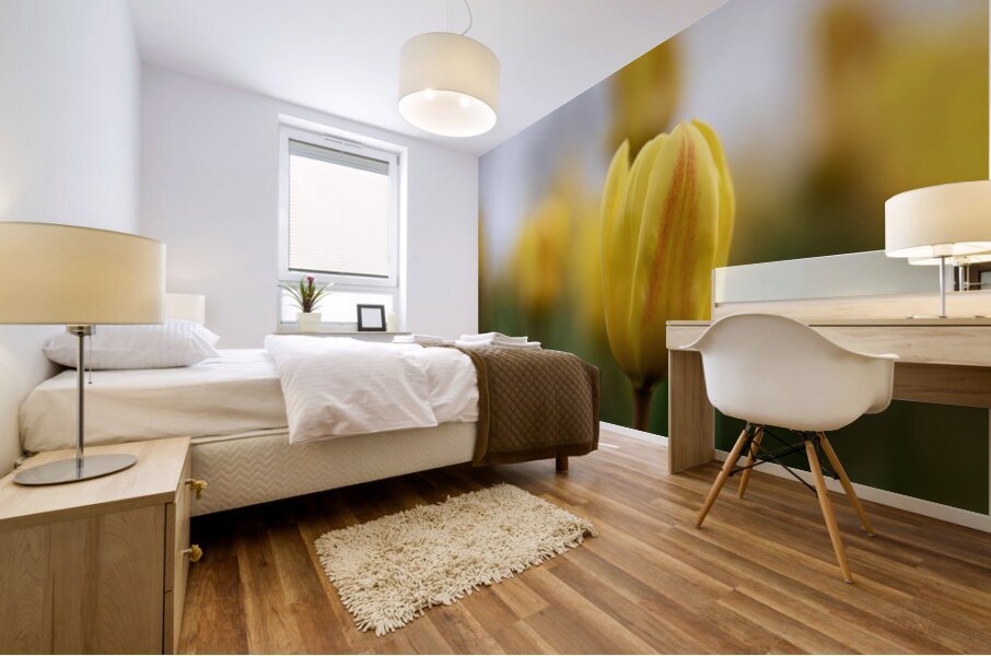 Yellow Radiance Mural print