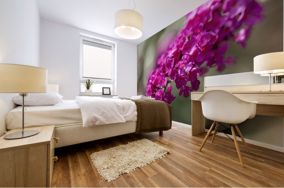 Orange Eye Mural print