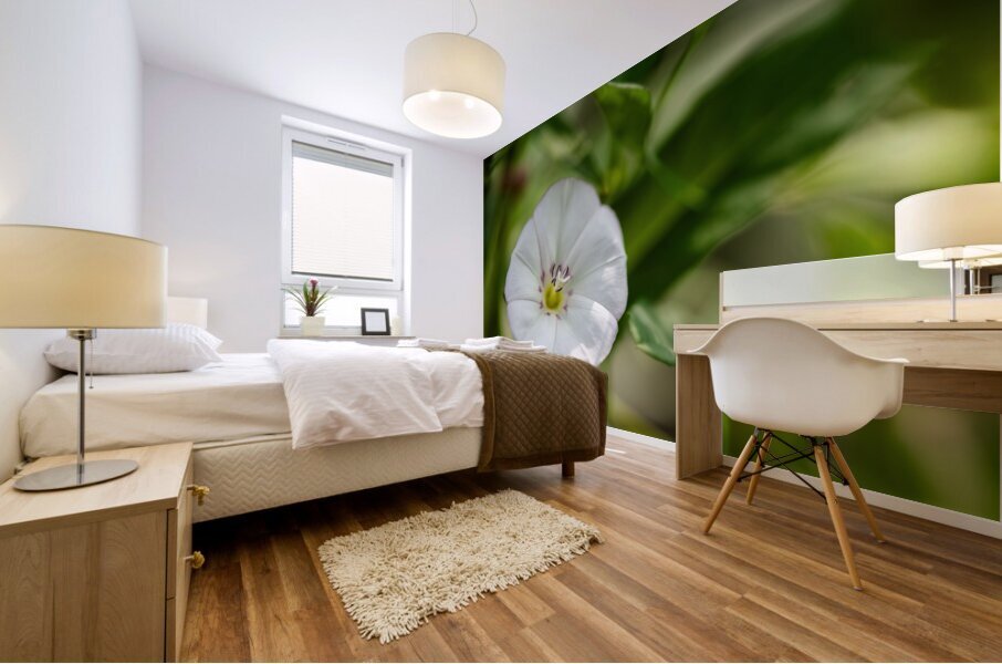 Little Glass Mural print