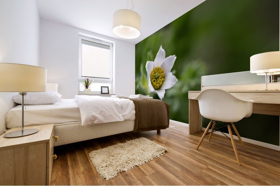 Darling 2 Mural print